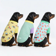 Sunblock Dog T-Shirt (3-pack) - Breeze, Bees, Watermelon