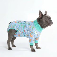 Dog Surgical Suit - Dragons
