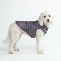 WarmShield Water-Resistant Jacket - Gunmetal Grey