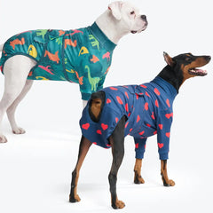 Dog Surgical Suit (2-pack) - Dinosaurs and Hearts