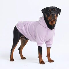 Essential Dog Hoodie - Lavender