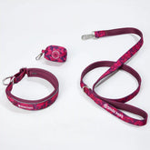 Martingale Collar Set - Fuchsia Camo