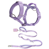 Comfort Control No-Pull Dog Harness and Multipurpose Leash Set - Purple