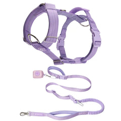 Comfort Control No-Pull Dog Harness and Multipurpose Leash Set - Purple
