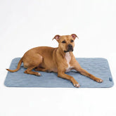 Frostcore™ Cooling Mat - Hearts Ash Blue
