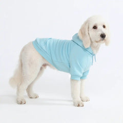 Essential Dog Hoodie - Baby Blue