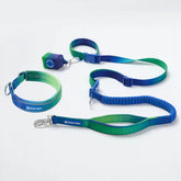Martingale Collar and Multipurpose Leash Sets