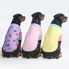 Sunblock Dog T-Shirt (3-pack) - Gelato, Yuzu, Berries