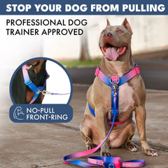 Comfort Control No-Pull Dog Harness - Snow Cone
