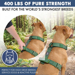 Comfort Control No-Pull Dog Harness Set - Army Green