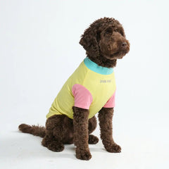 Sunblock Dog T-Shirt - Yuzu