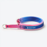 Cushioned Martingale Collar - Snow Cone