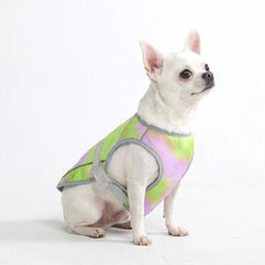 Dog Cooling Vest - Neon Purple