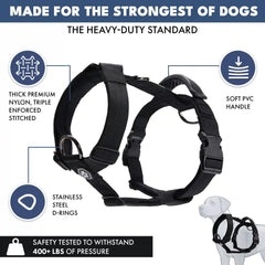 Comfort Control No-Pull Dog Harness Set - Black