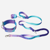 Comfort Control Collar and Multipurpose Leash Set - 90s Retro