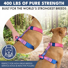 Comfort Control No-Pull Dog Harness Set - Snow Cone