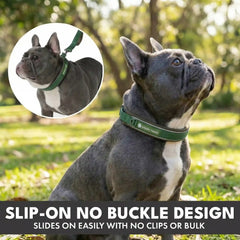 Martingale Collar and Multipurpose Leash Set - Army Green