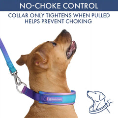 Martingale Collar and Multipurpose Leash Set - 90s Retro