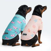 Sunblock Dog T-Shirt (2-pack) - Flamingo Seashell