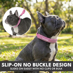 Martingale Collar Set - Pink