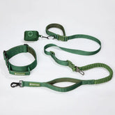 Comfort Control Collar and Multipurpose Leash Set - Green