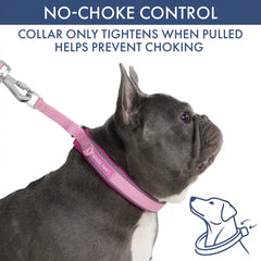 Martingale Collar and Multipurpose Leash Set - Pink