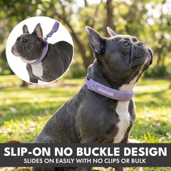 Martingale Collar Set - Lilac