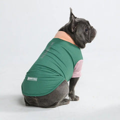 Sunblock Dog T-Shirt - Pistachio