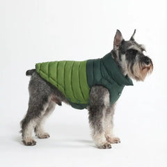 PuffShield Winter Jacket - Green