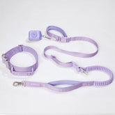 Comfort Control Collar and Multipurpose Leash Set - Lilac