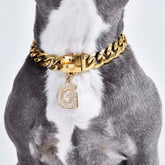 Initial Letter Jewelry Tag - G
