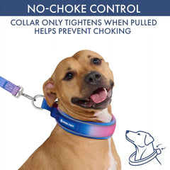 Martingale Collar Sets
