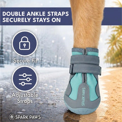 365 All-Season Dog Shoe 4PC Set - Teal