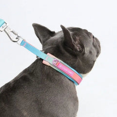 Cushioned Martingale Collar - Pastel Icing