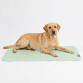 Frostcore™ Cooling Mat - Orb Green
