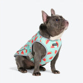 Dog Cooling Vest - Watermelon (2)