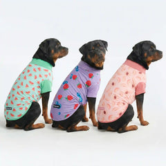 Sunblock Dog T-Shirt (3-pack) - Watermelon, Berries, Peaches