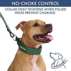 Martingale Collar and Multipurpose Leash Set - Army Green