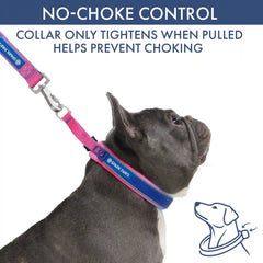 Martingale Collar Sets
