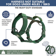 Comfort Control No-Pull Dog Harness and Multipurpose Leash Set - Green