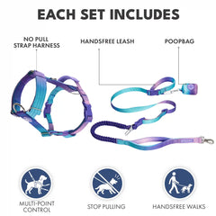 Comfort Control No-Pull Dog Harness and Multipurpose Leash Sets