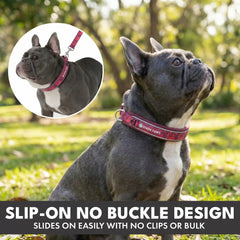 Martingale Collar and Multipurpose Leash Set - Fuchsia Camo