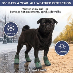 365 All-Season Dog Shoe 4PC Set - Green