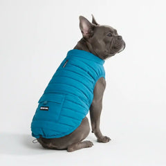 WarmShield Water-Resistant Jacket - Teal