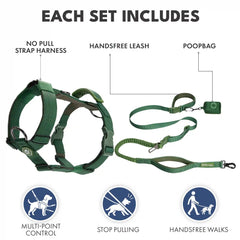Comfort Control No-Pull Dog Harness and Multipurpose Leash Set - Green