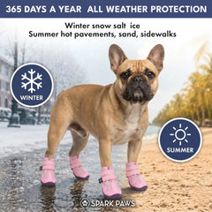 365 All-Season Dog Shoe 4PC Set - Pink