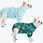 Dog Surgical Suit (2-pack) - Breakfast Blue and Dinosaurs