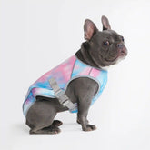 Dog Cooling Vest - Snow Cone (2)