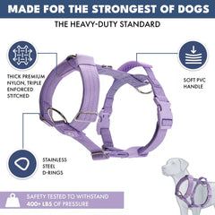 Comfort Control™ No-Pull Dog Harness - Lilac