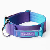 Comfort Control Collar - 90s Retro